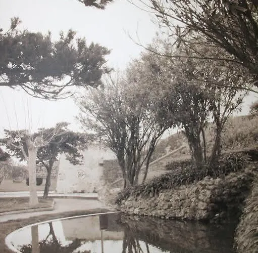 בית הארחה Sea Garden 4*